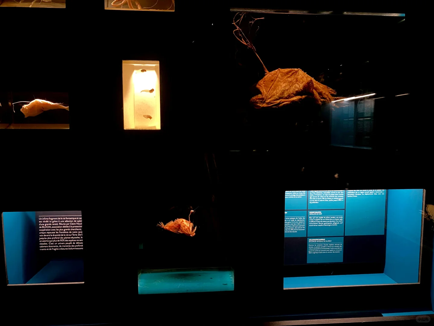 巴黎?新展?百年百货的设计装饰变迁史