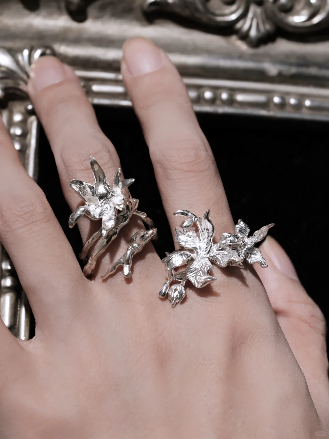 1月行程|GAF北京插画艺术展·上海诺亚设计展