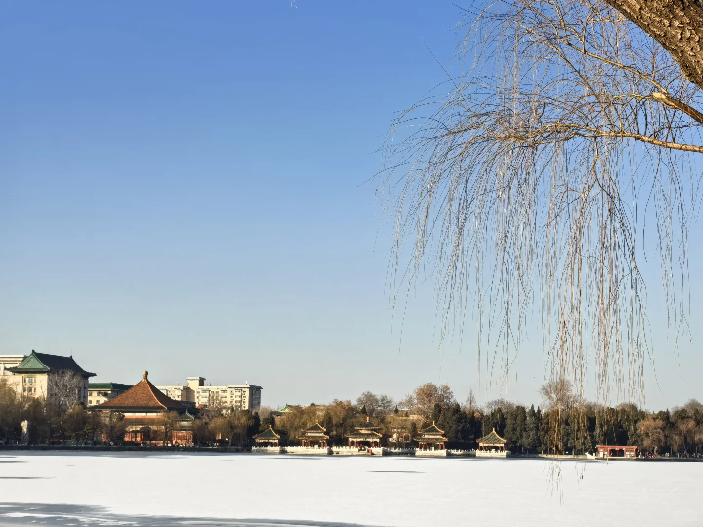 晒到了北纬39°的阳光