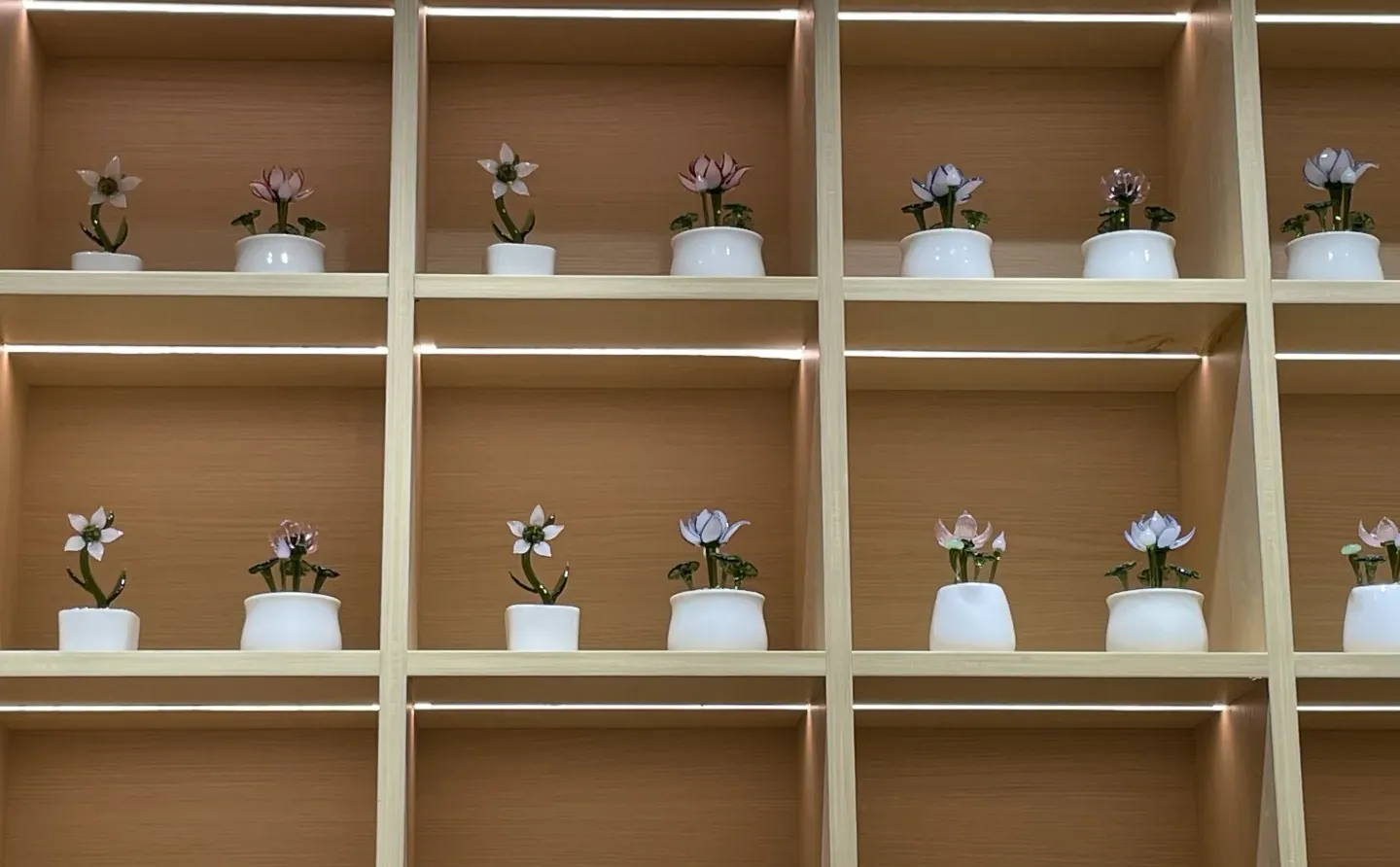 景德镇宝藏的玻璃小屋