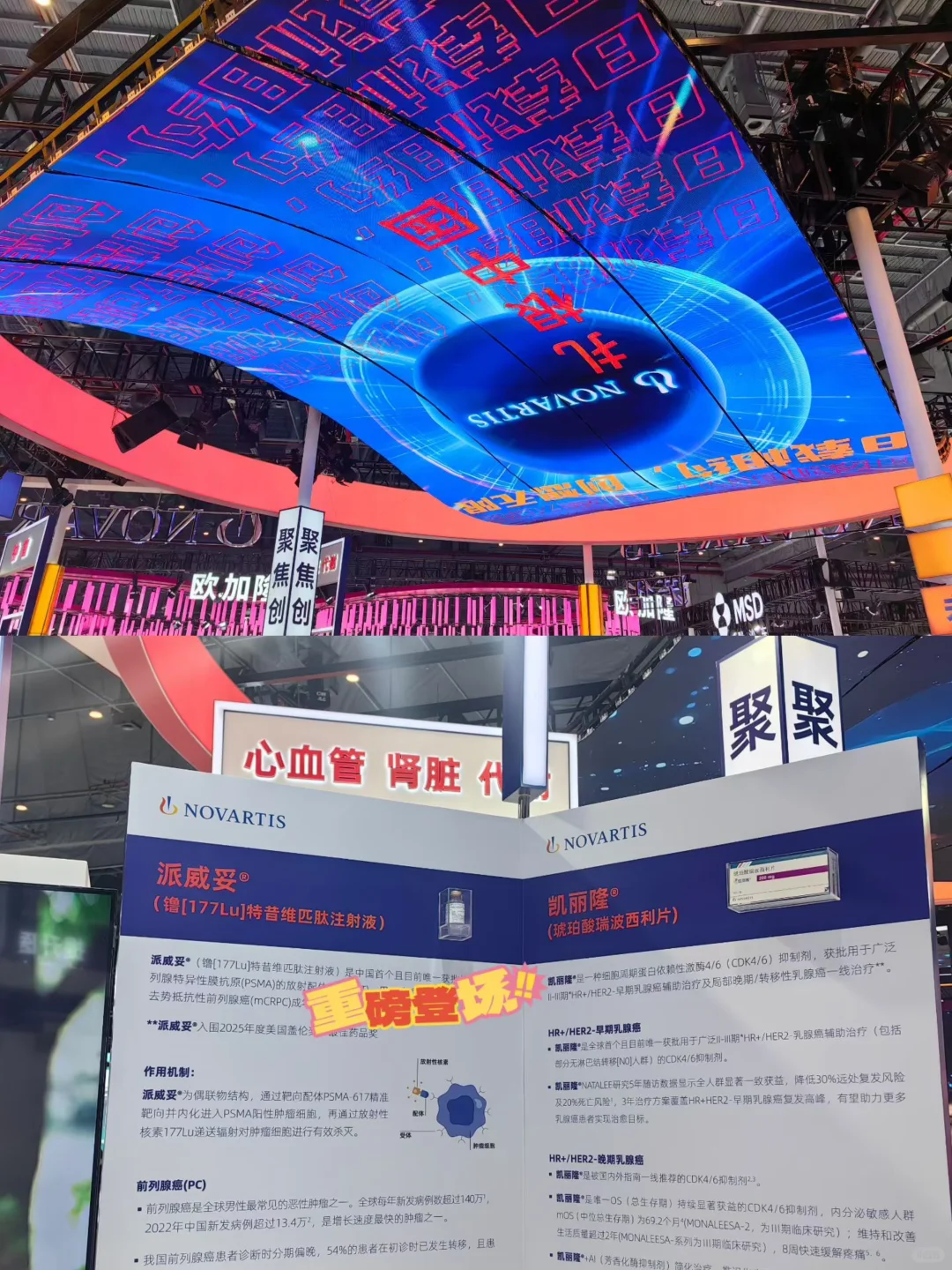 进博刚结束？｜第三方记录到第一人称叙述