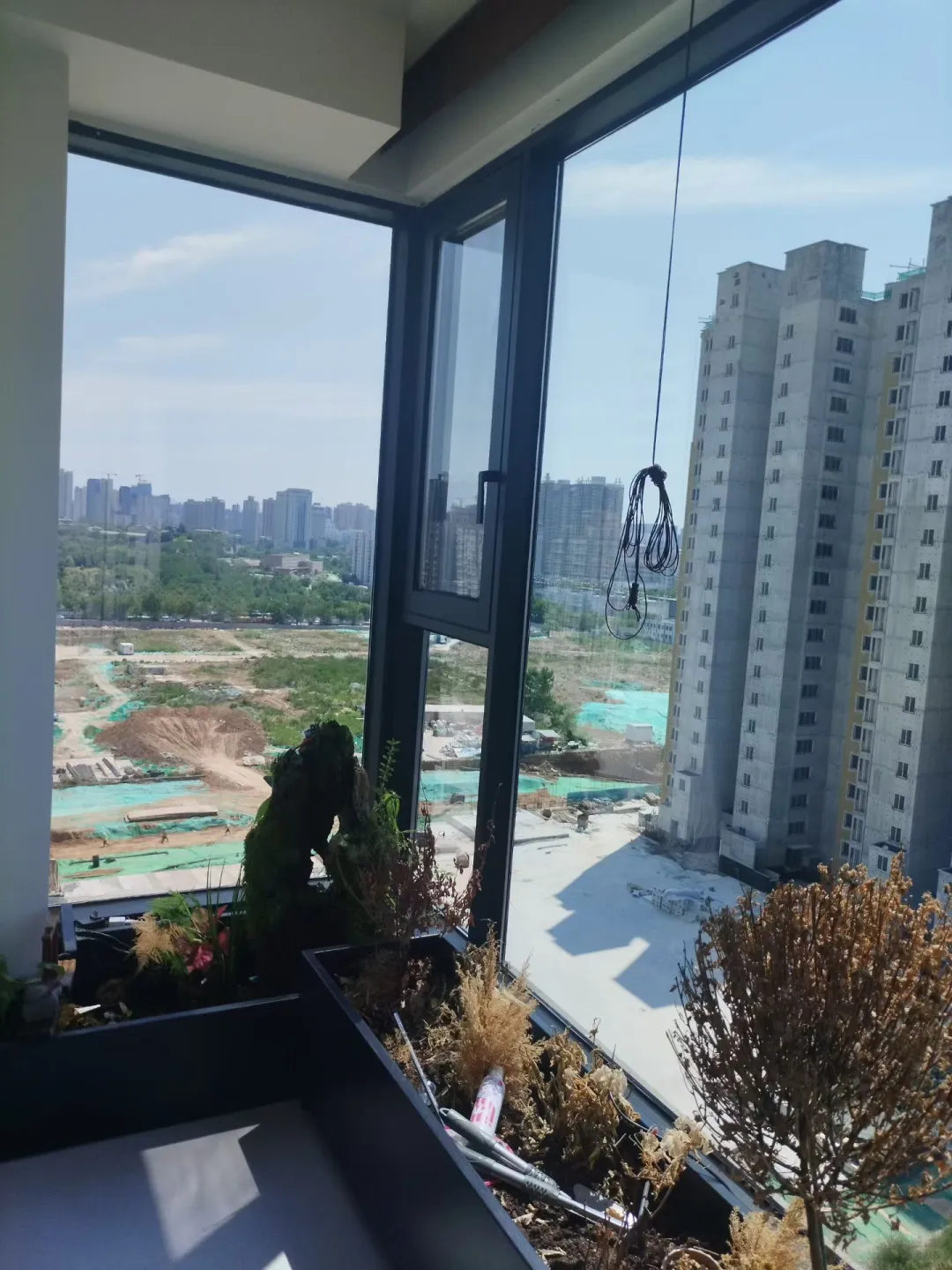 西安宝子!元旦擦玻璃羊毛速薅?