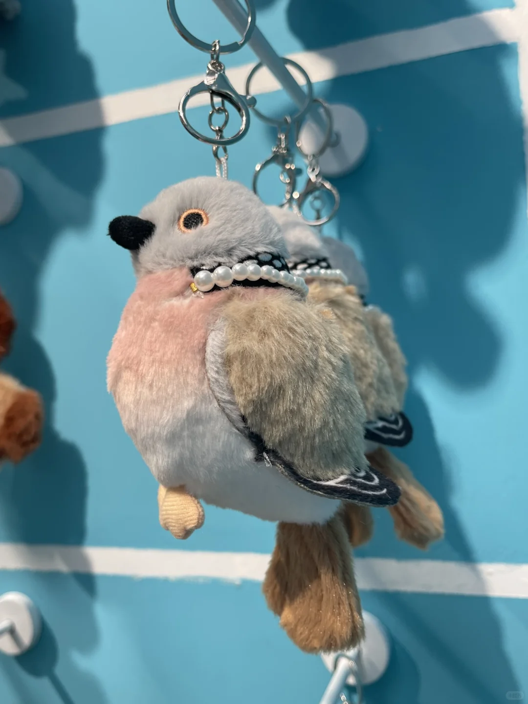 被可爱淹没！毛绒展收获满满??