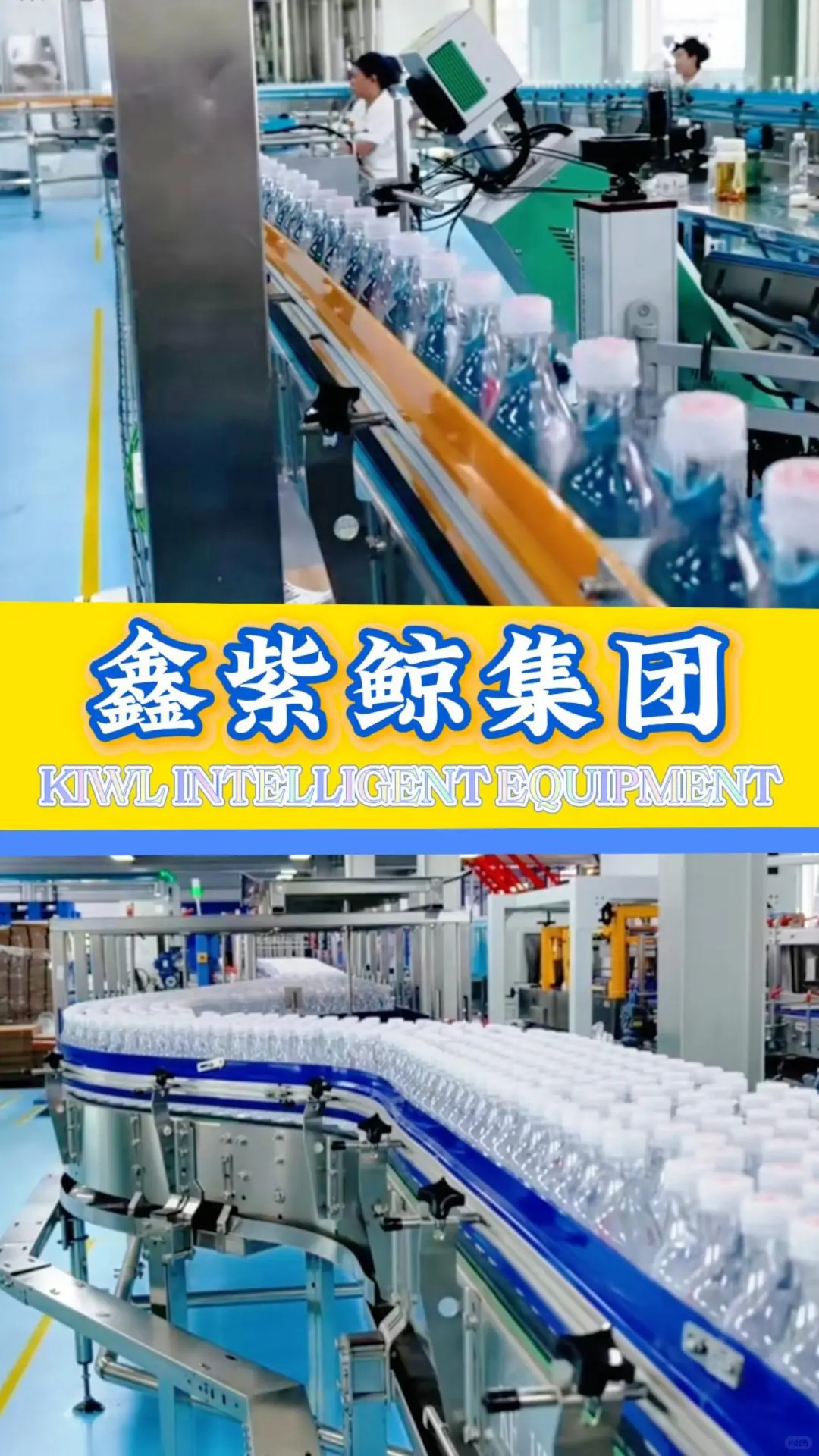 水、饮料、果汁、白酒灌装生产线