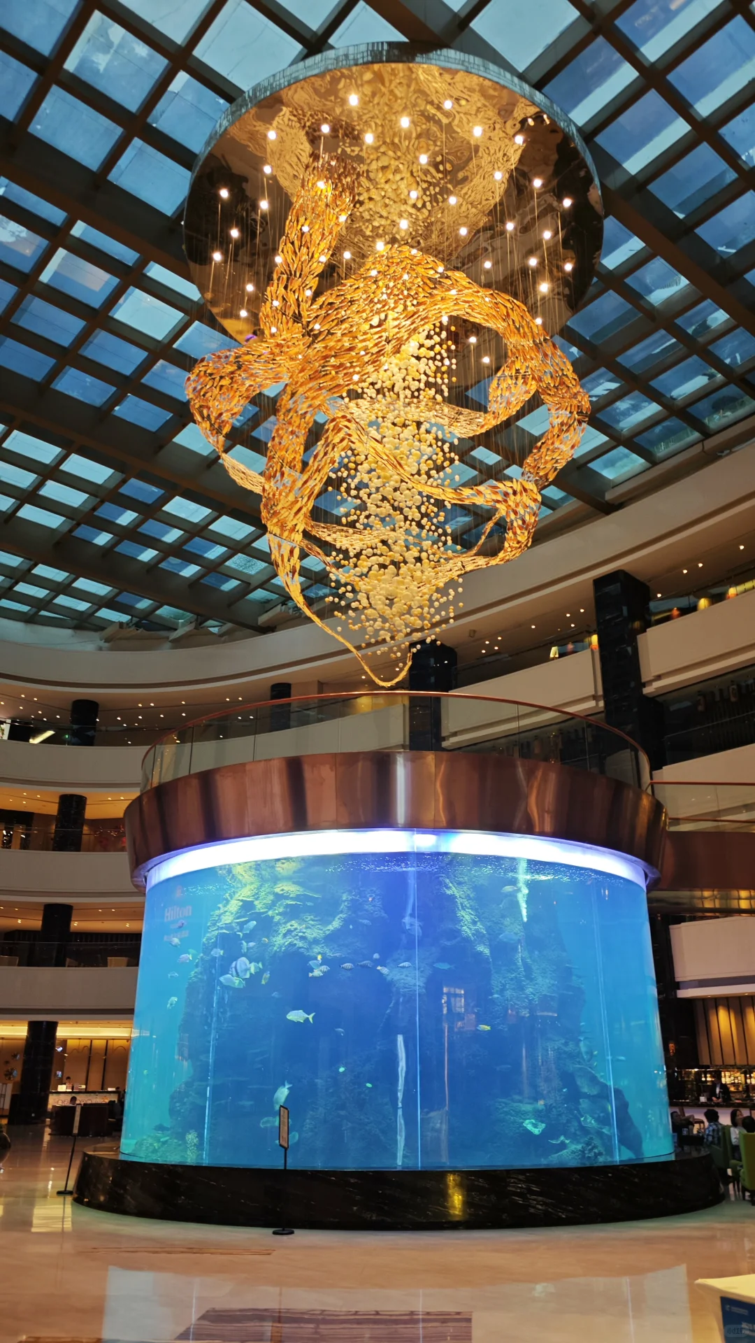 浅浅参加一个学术会议