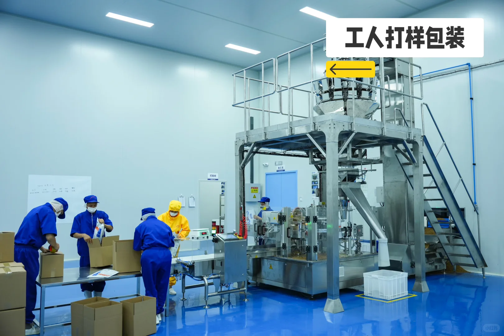 烘焙粮不再是“大牌专利”！小白也能安全上车