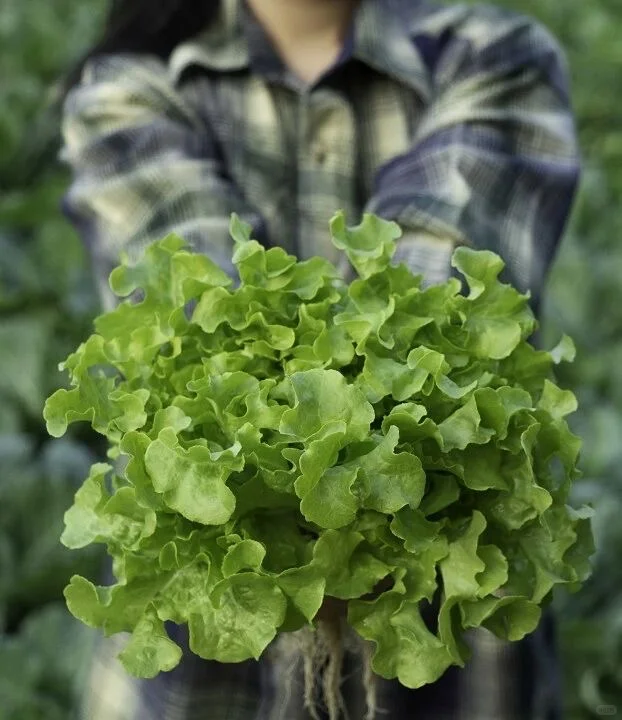 2025GT年度盛典正式开启