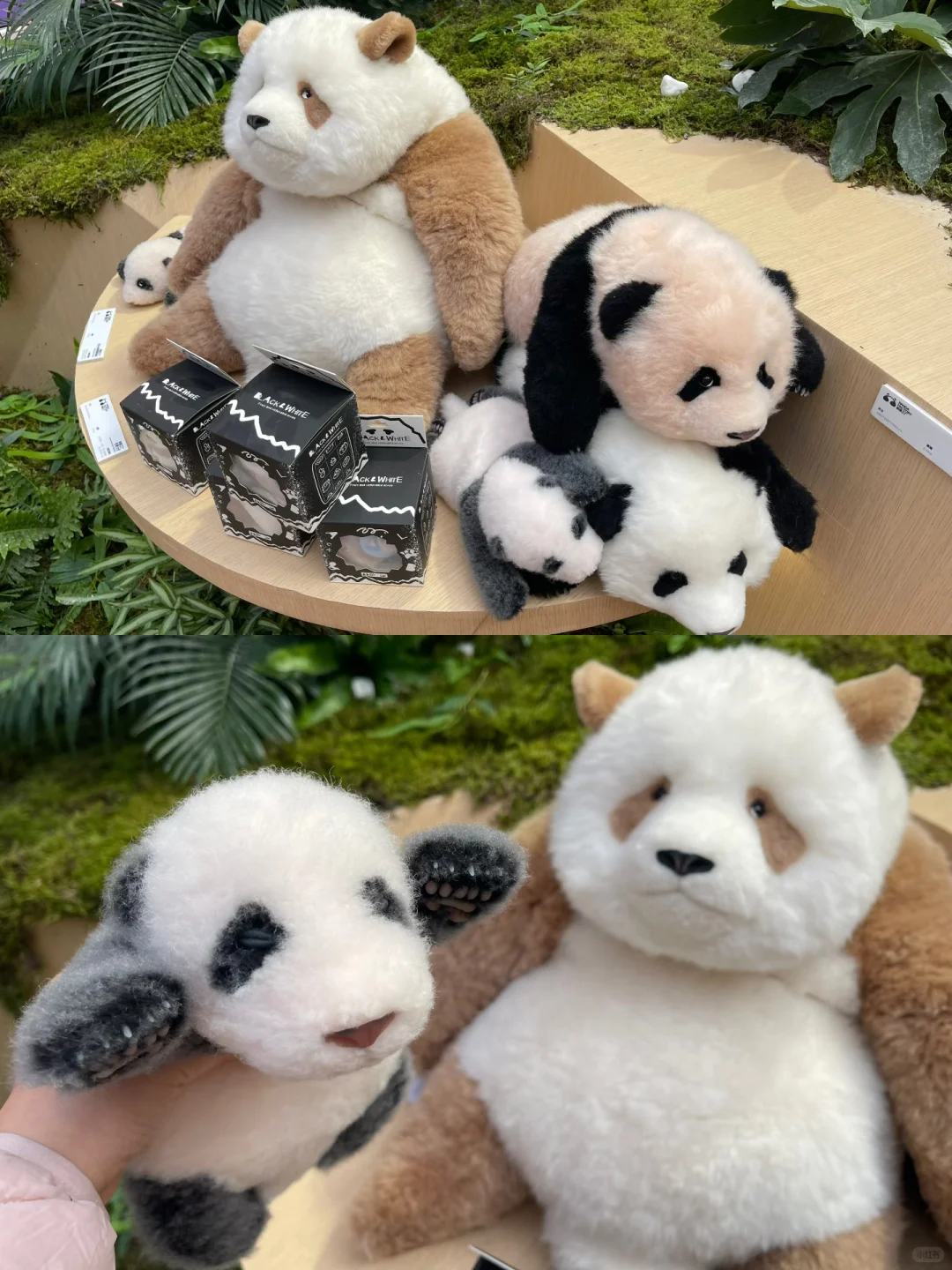 被可爱淹没！毛绒展收获满满??