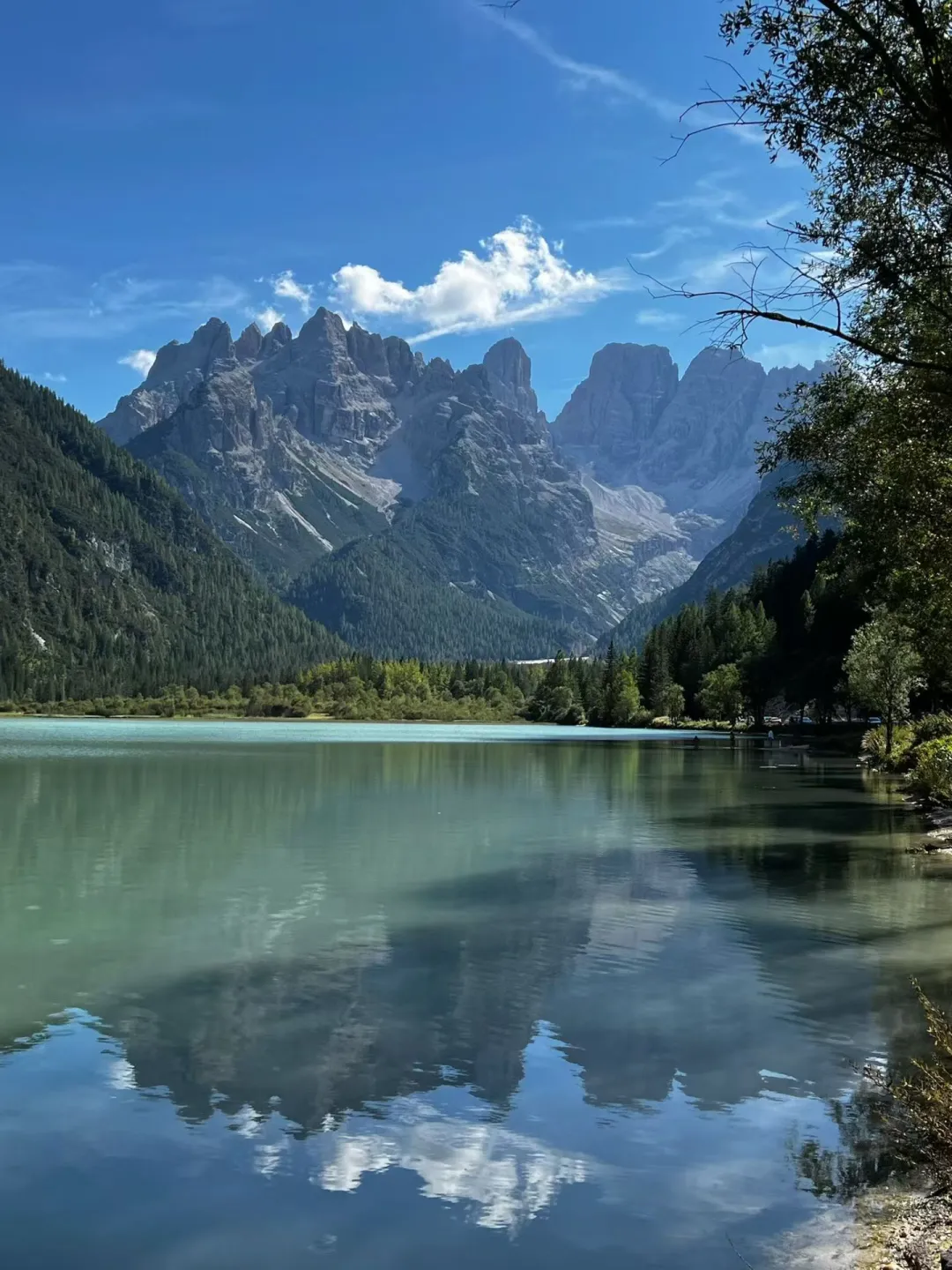 推荐一些适合外贸新手使用的社交媒体工具