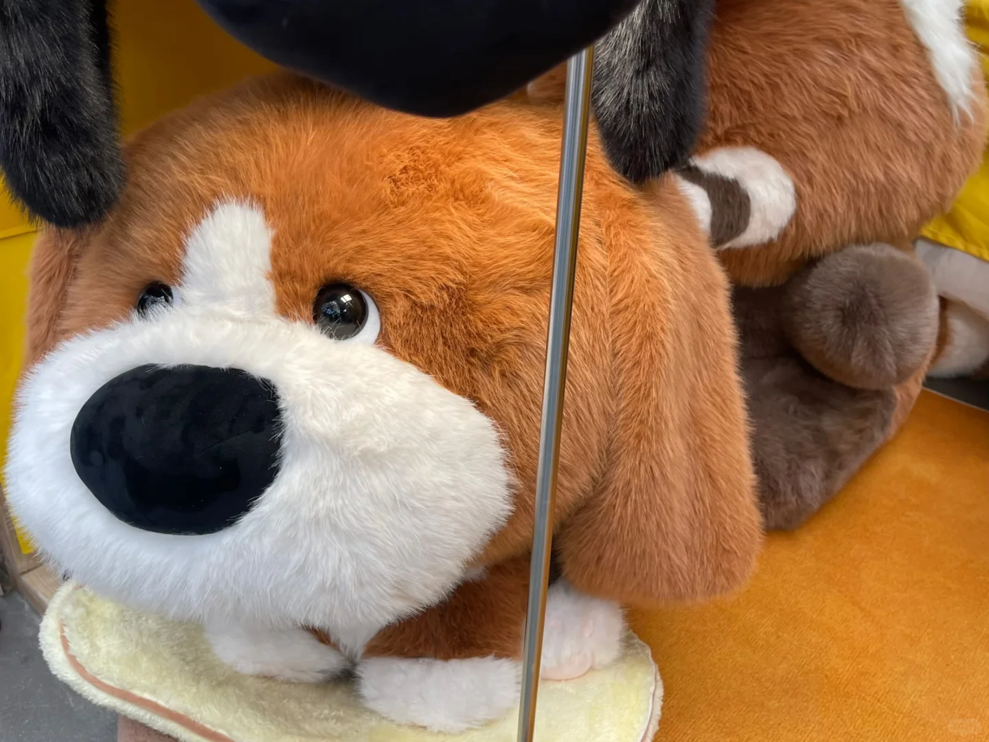 被可爱淹没！毛绒展收获满满??