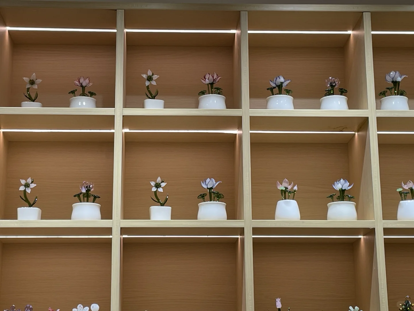 景德镇宝藏的玻璃小屋