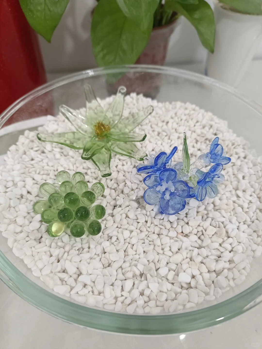 烧玻璃客作小分享、不限量、不限品!