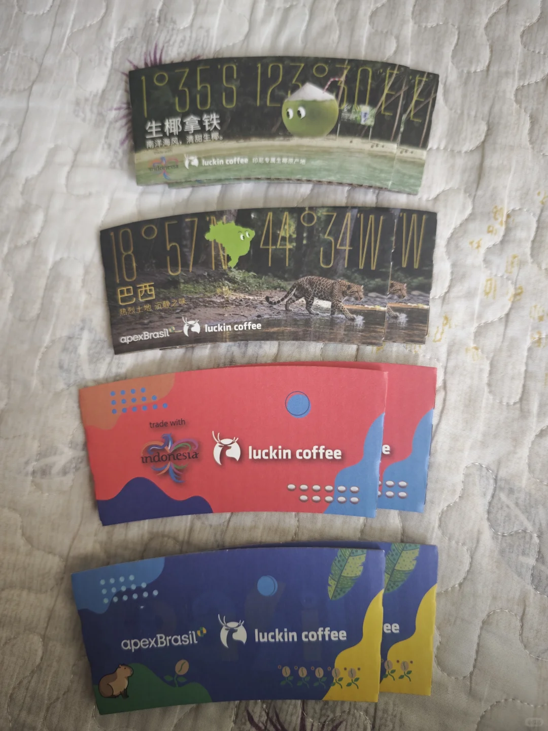 今日收货 进博会