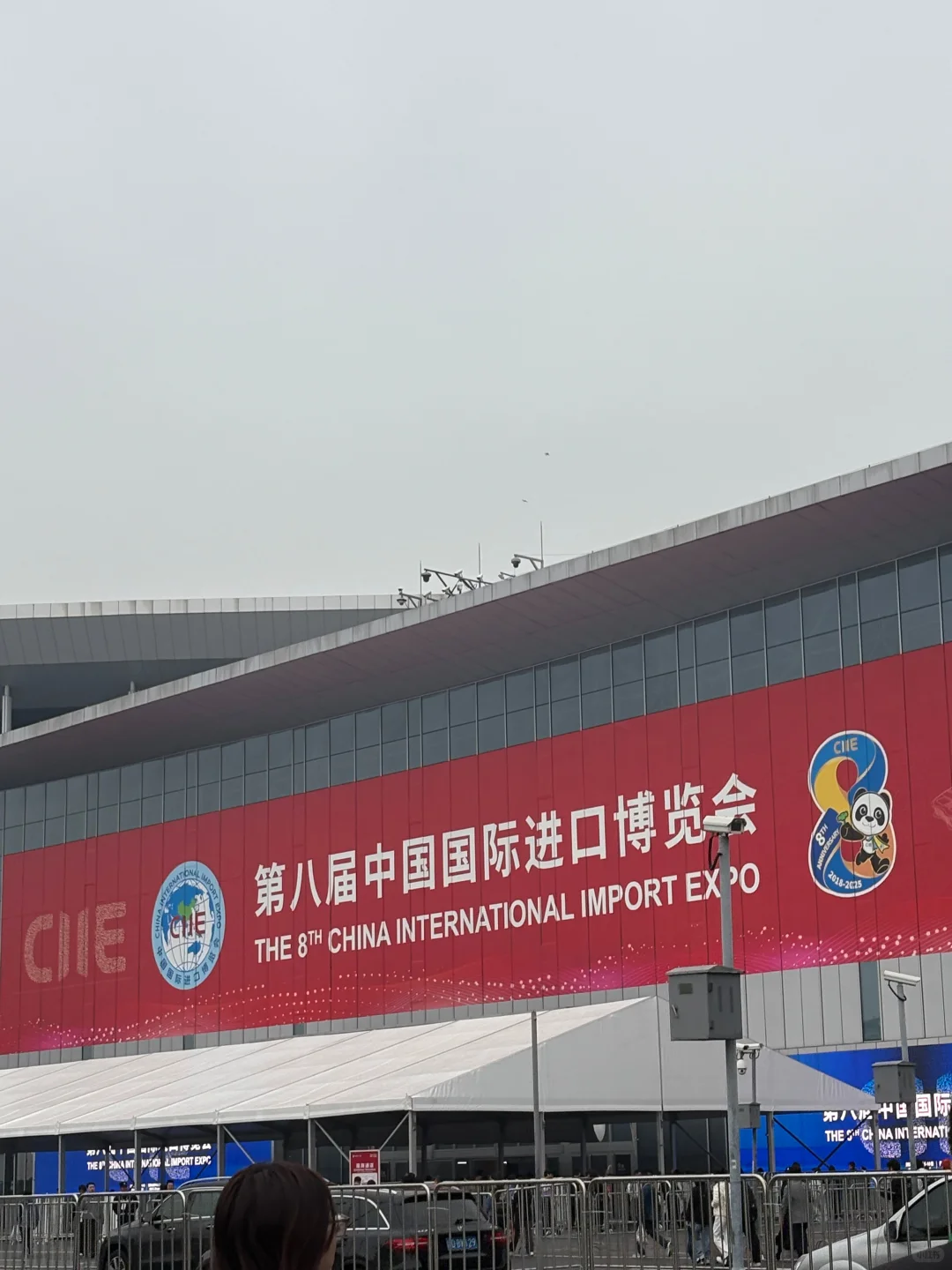 上海进博会值了！遇到了梦中的DK镁！