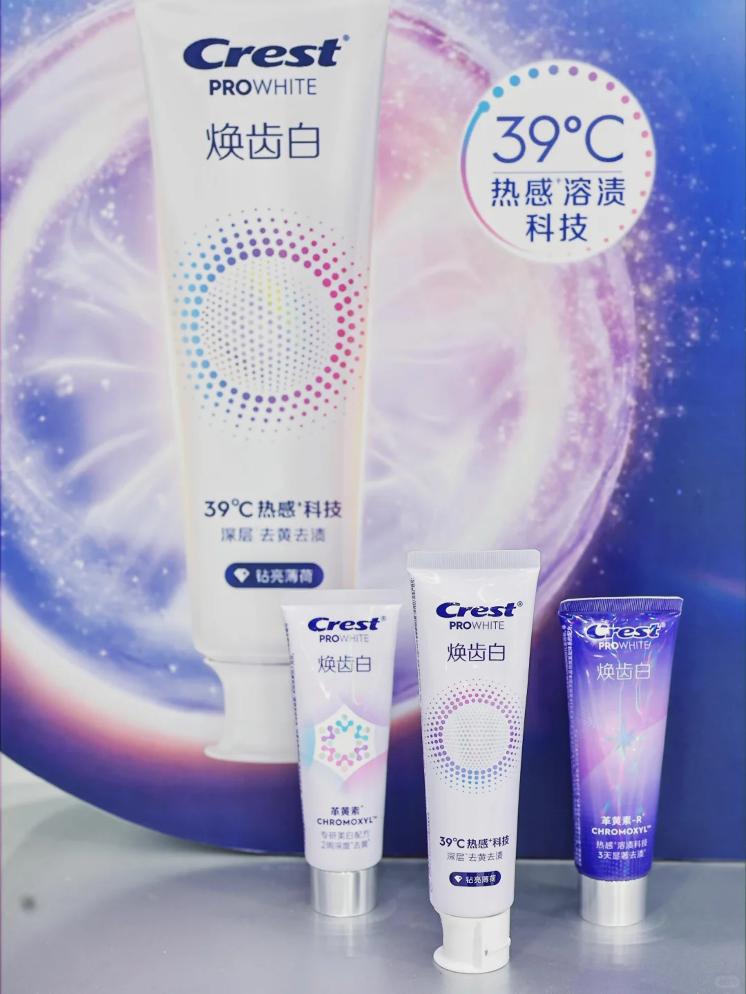 惊喜掉落?| 小佳在进博会又双叒叕宠粉啦