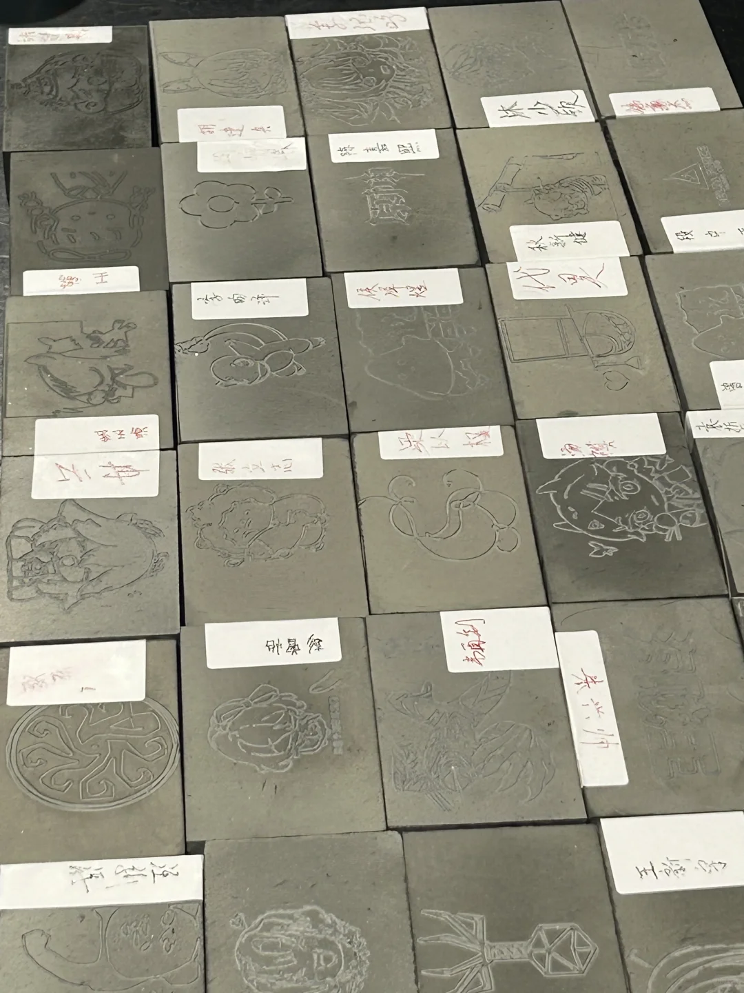 生工小菌团实训日记｜高新区解锁工程技