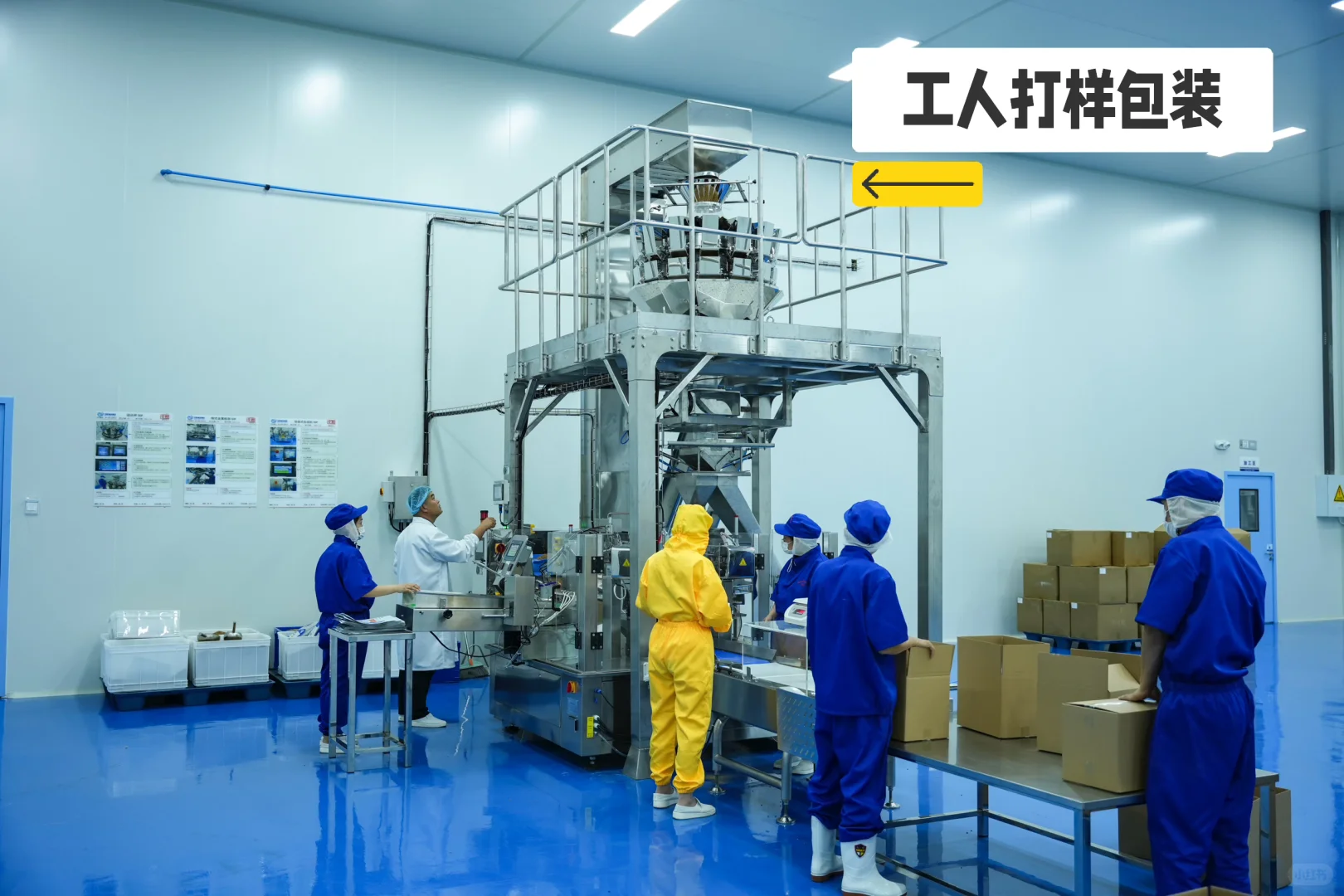 烘焙粮不再是“大牌专利”！小白也能安全上车