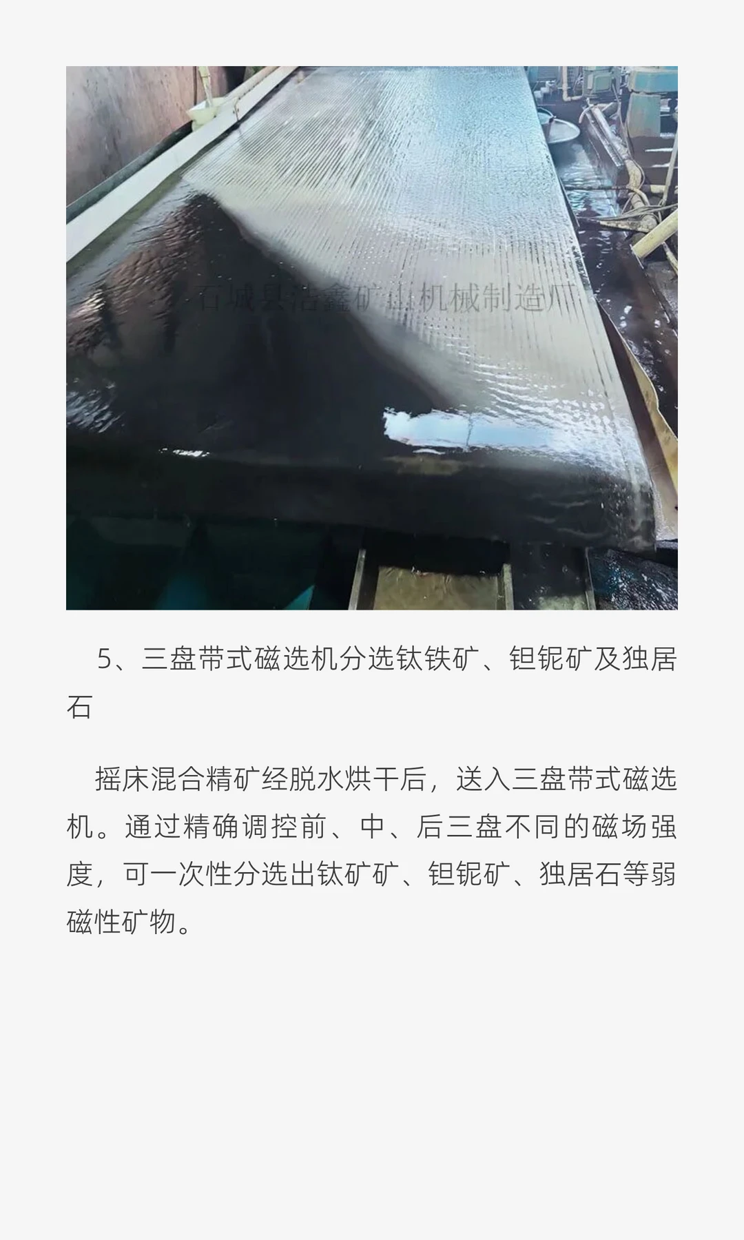 尼日利亚400吨/小时海滨砂选矿生产线