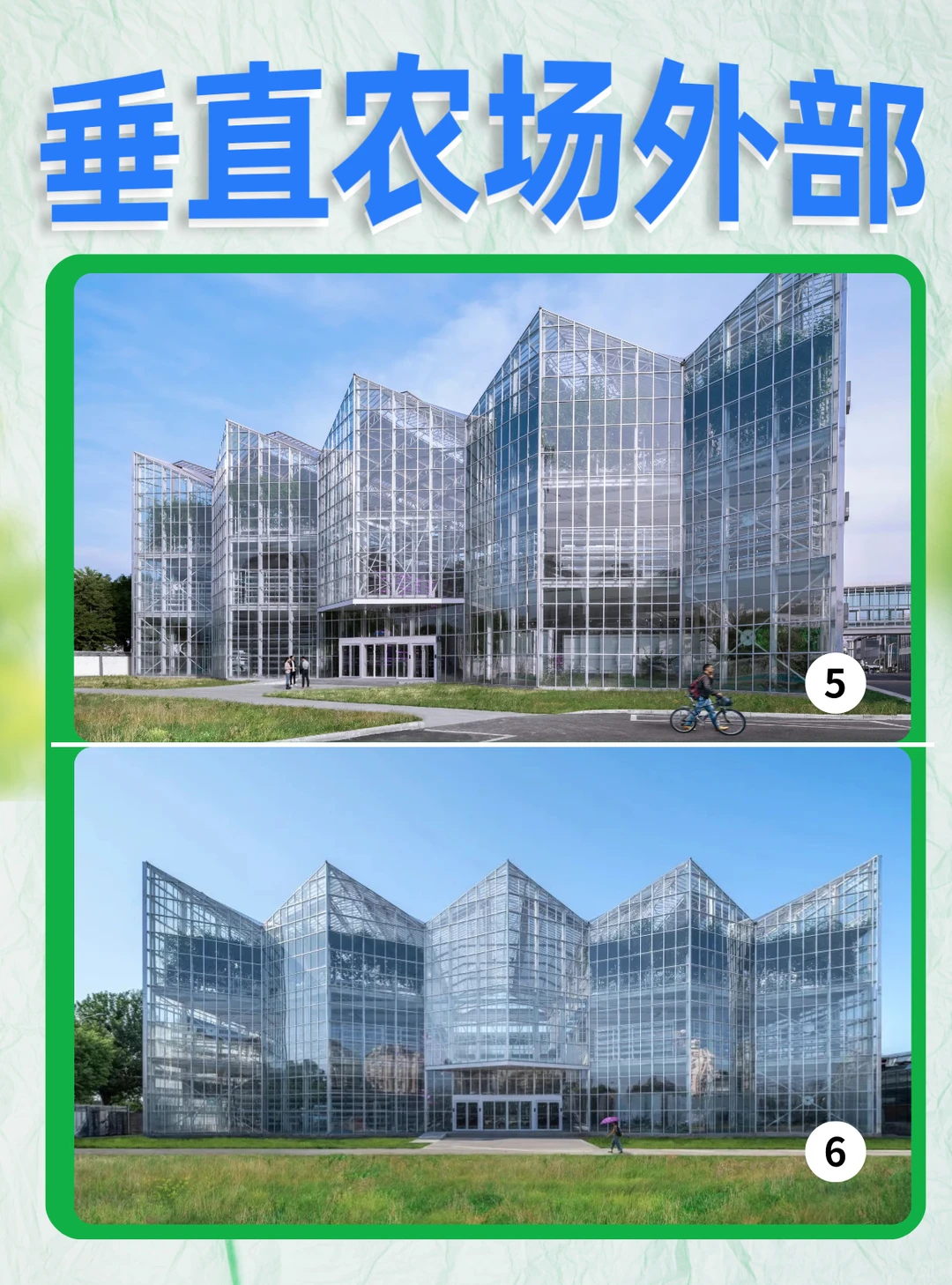 北京垂直农场 | 城市中亮眼的农业创新中心