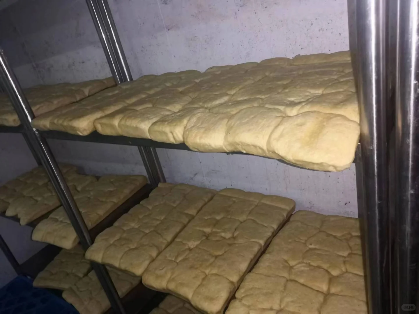 凉皮工厂实拍图