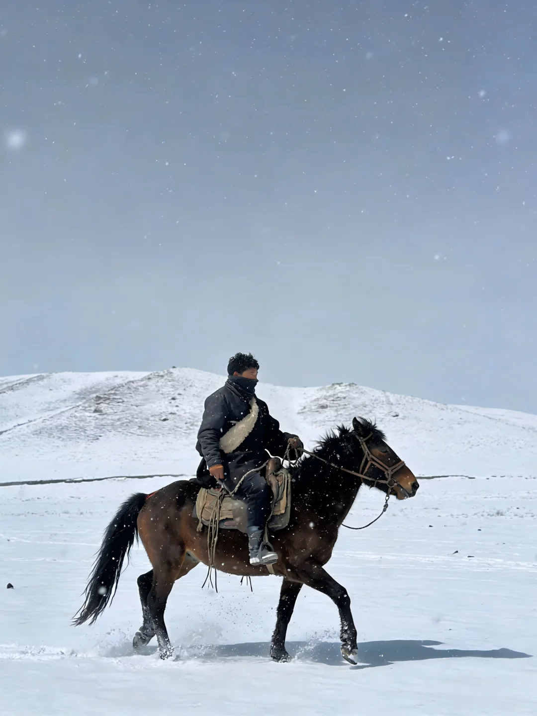 暴风雪来临，牧场的“暂停键”才是真正智慧