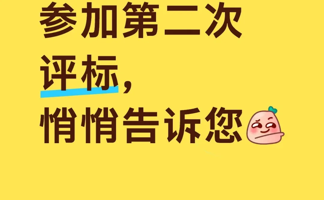 第二次政府采购评标心得体会