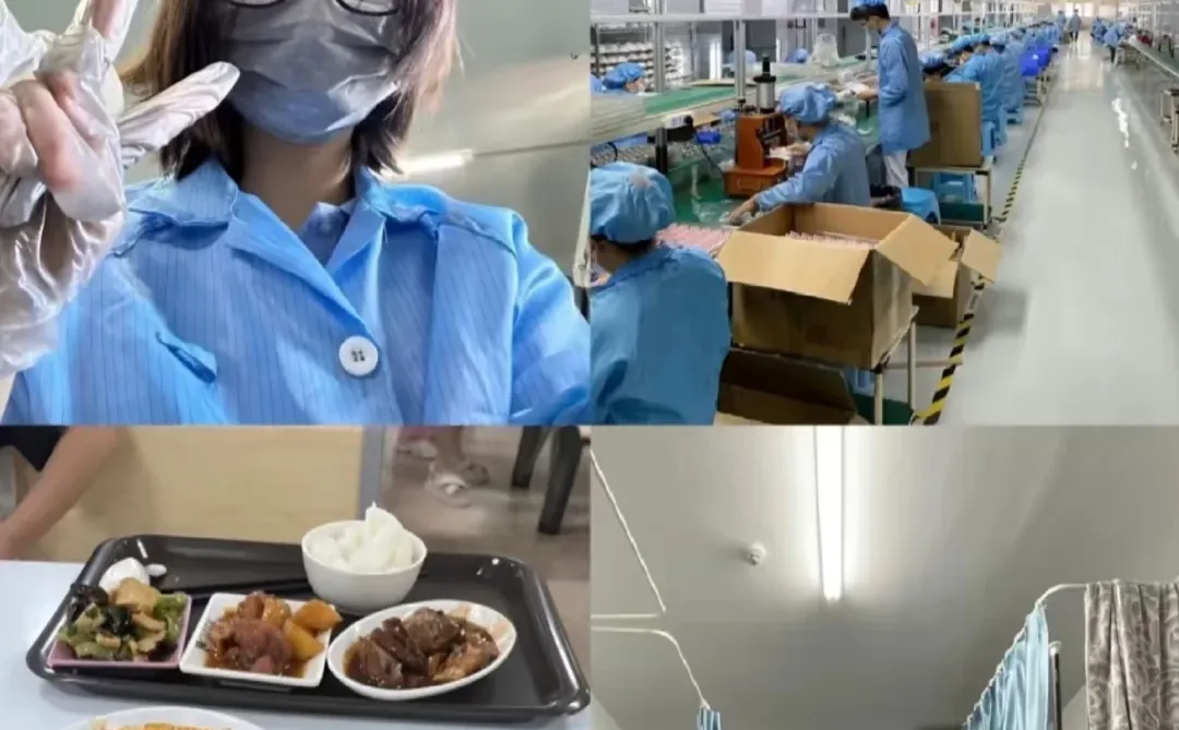 石家庄食品厂要寒假工，60天?拿9000+