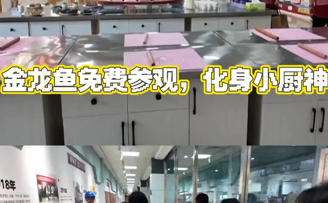 石家庄【金龙鱼大厂免费参观,一起包饺子】
