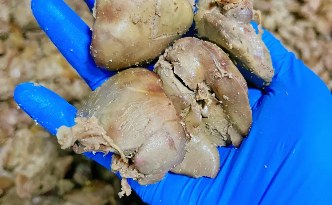 一家位于山东的宠物湿粮工厂?