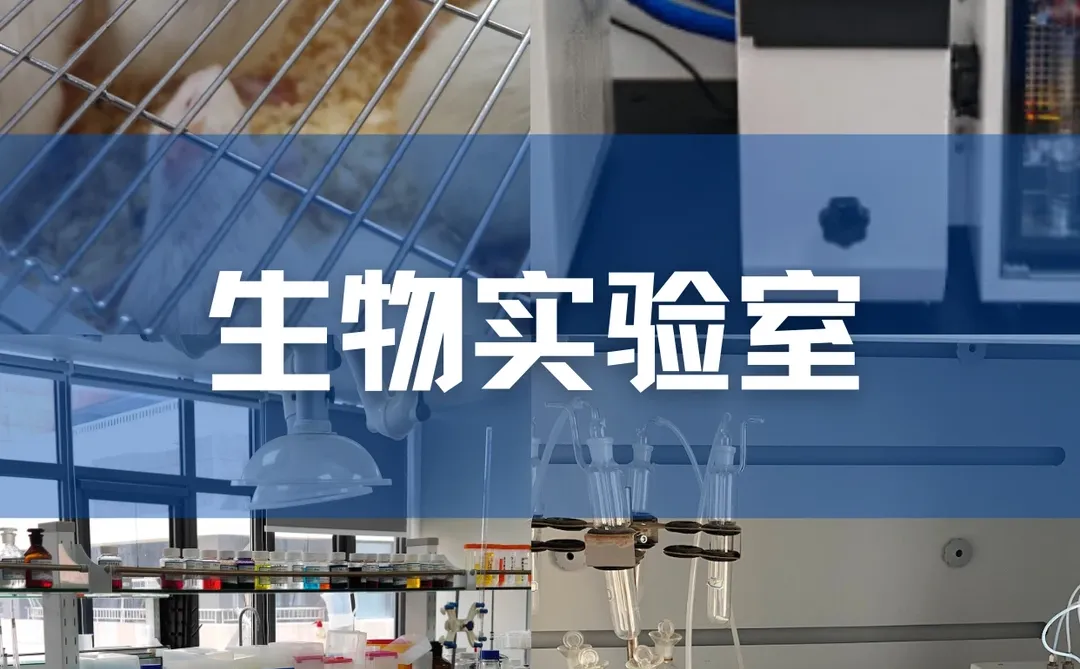 北京中科光析科学技术研究所