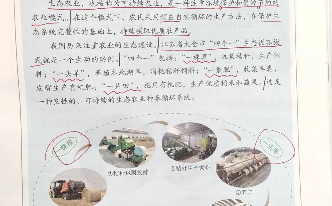 8.4.2中国的农业-商务星球版新版