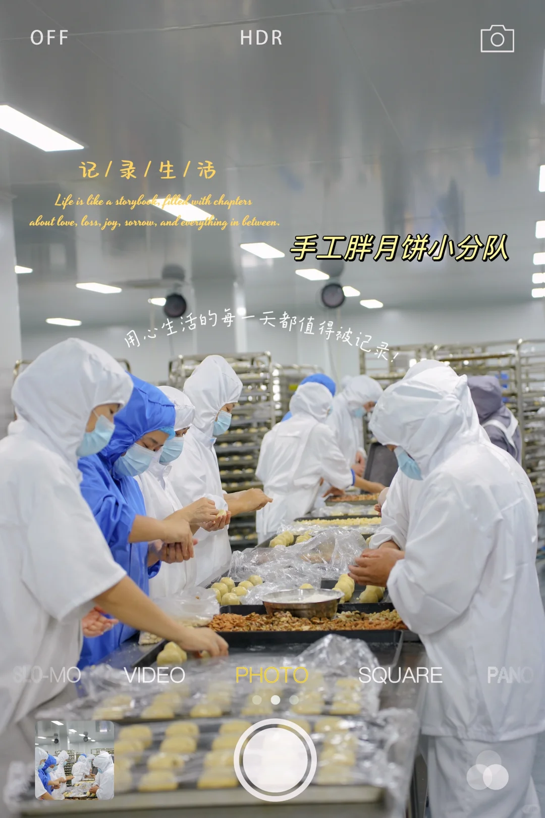 8000平的月饼工厂日常记录?