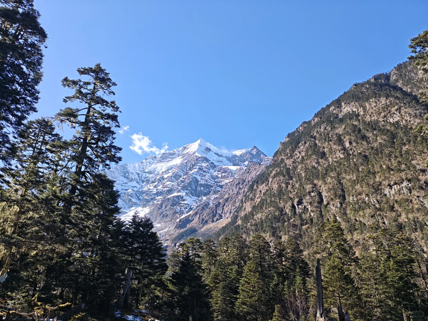 雨崩徒步Day2-冰湖切尼色：雨崩河溯源