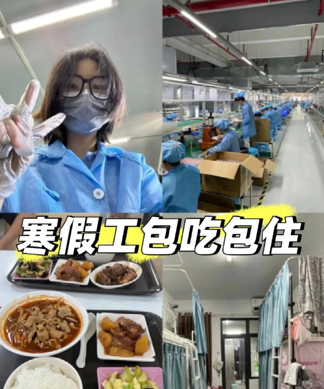 石家庄牛奶厂，能带手机上班，寒假工