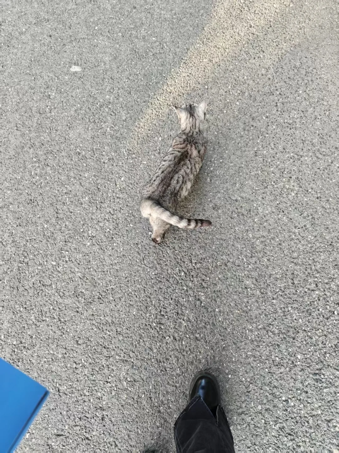 00后毕业女大钢材生卖钢第442天?