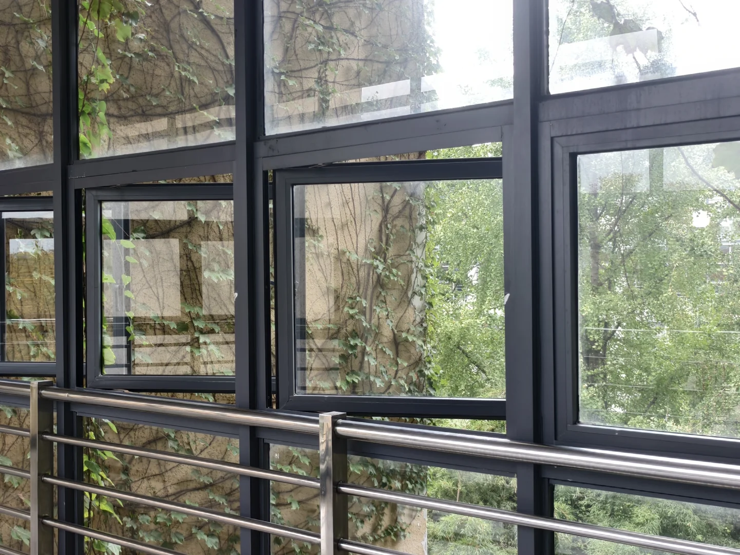 漫卷·象牙塔：华中农业大学 | 图书馆