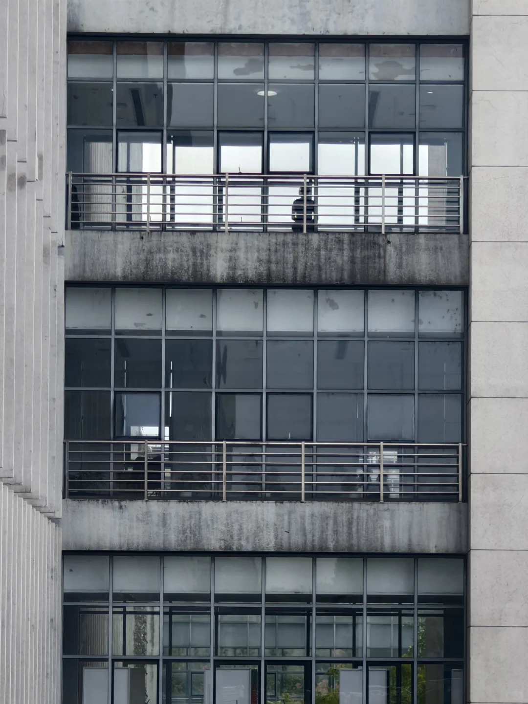 漫卷·象牙塔：华中农业大学 | 图书馆