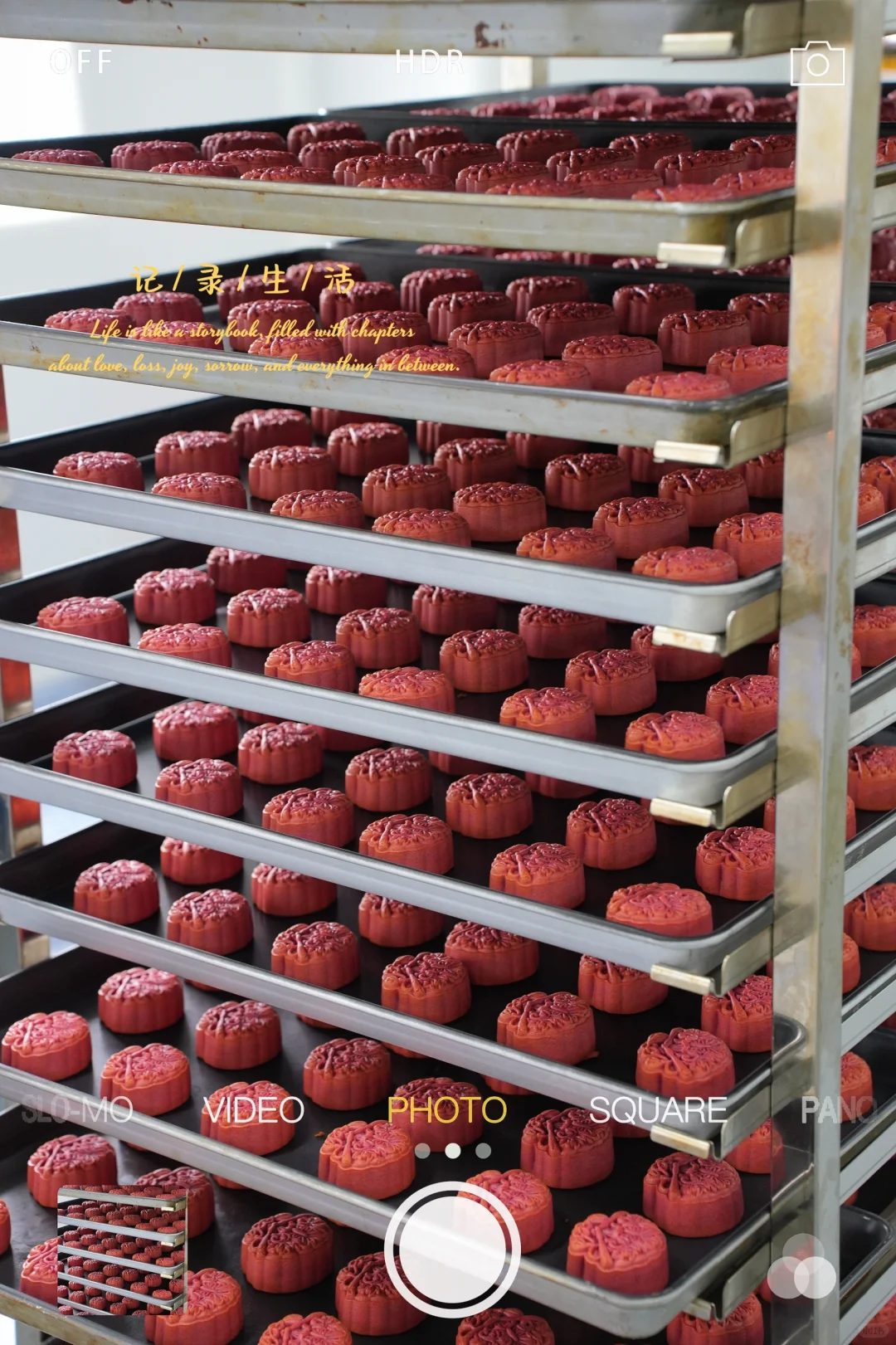 8000平的月饼工厂日常记录?