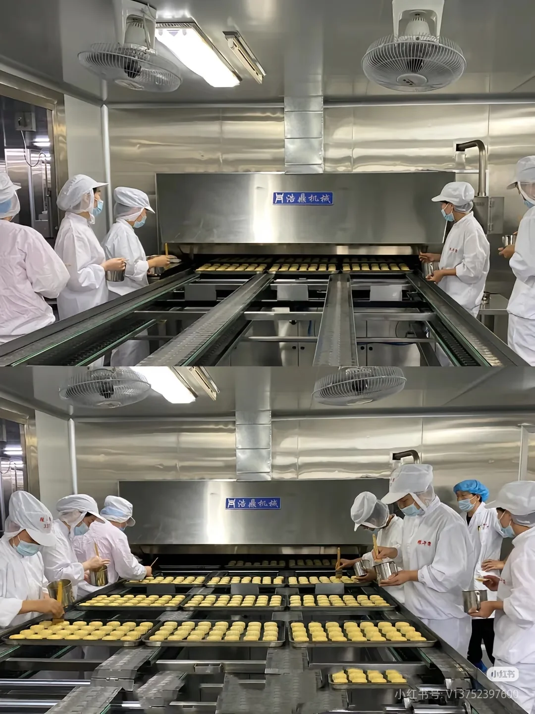 天津大桥道食品厂招人啦? 日结200元+免