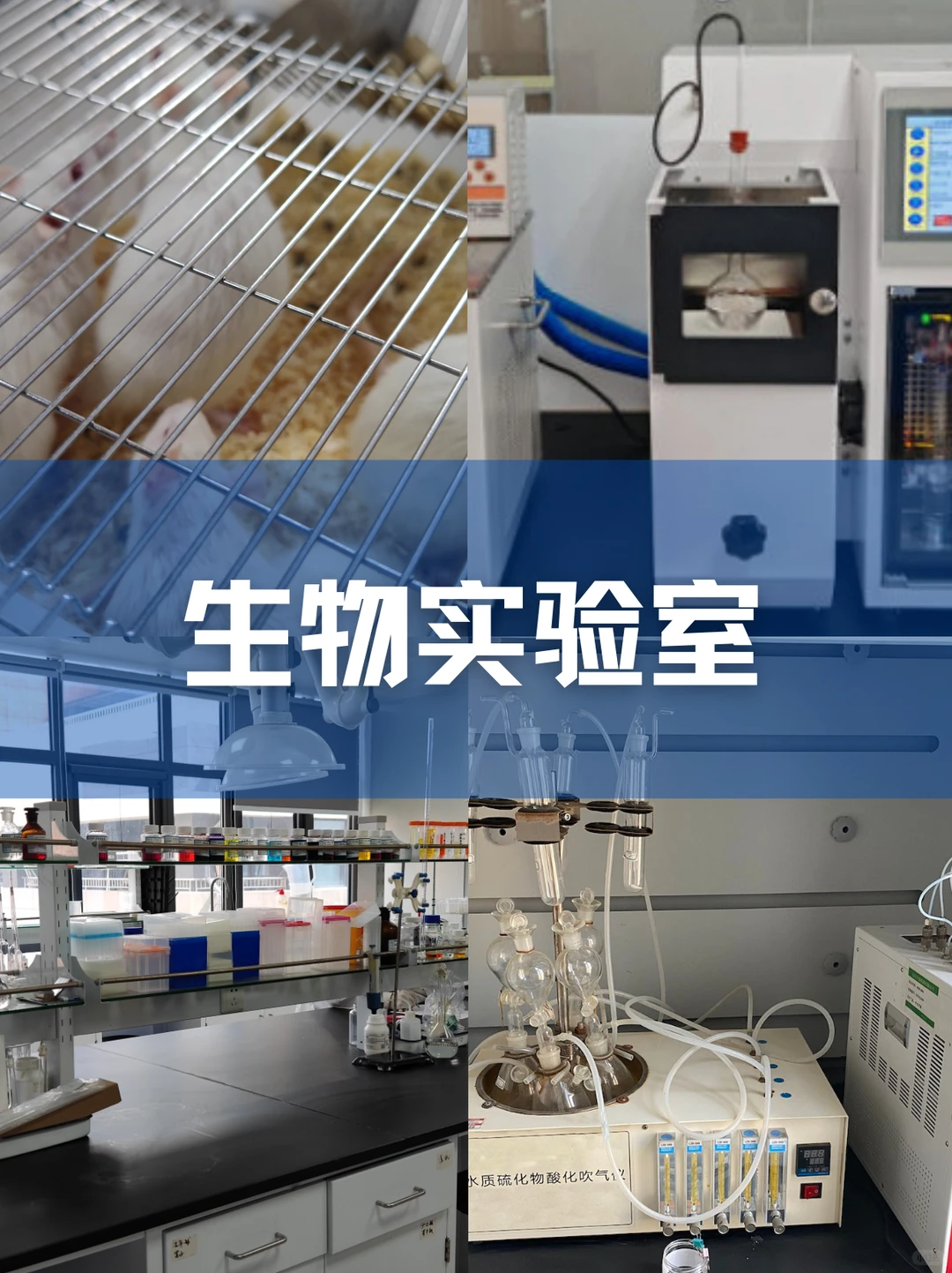 北京中科光析科学技术研究所