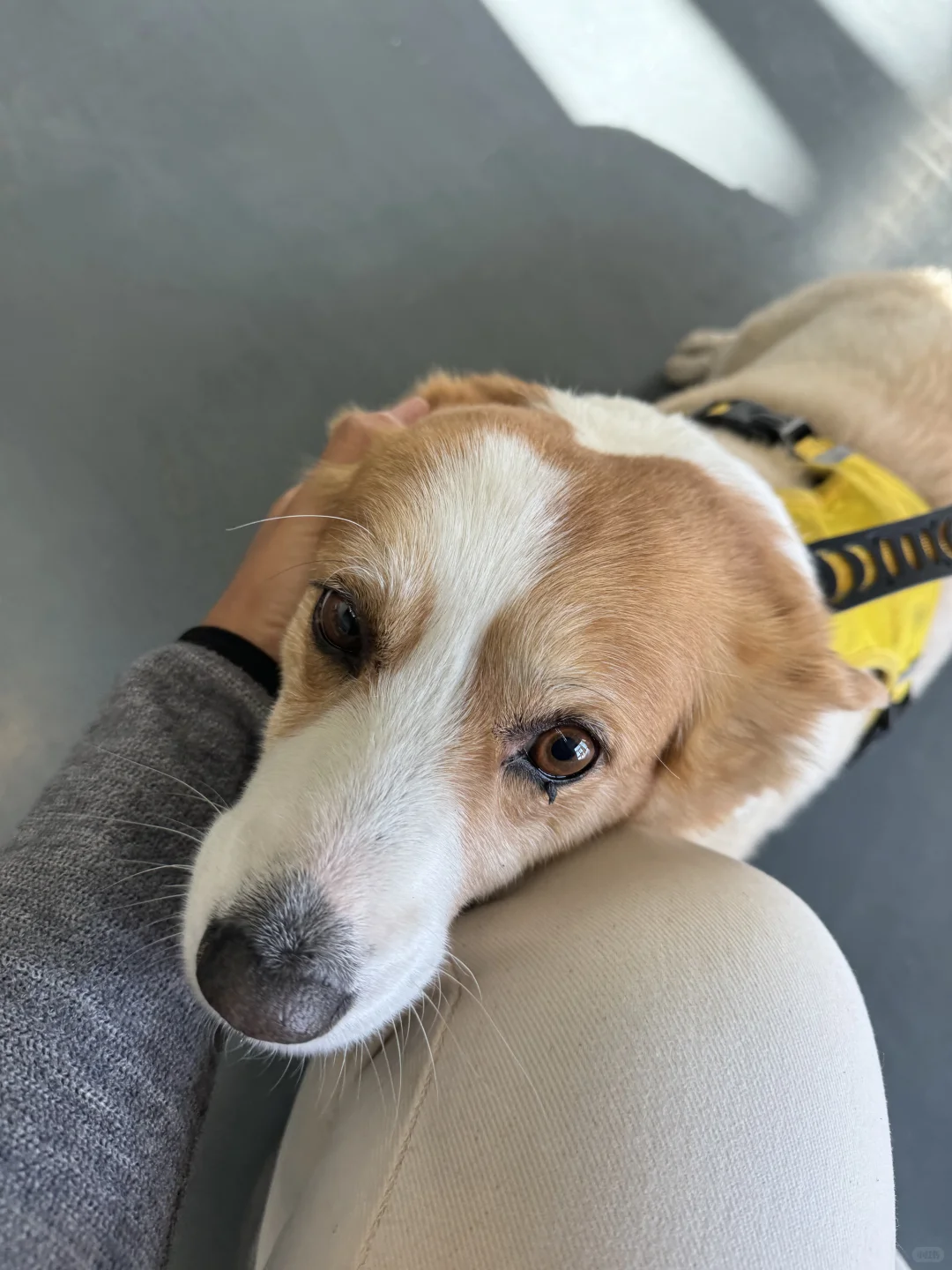 一些骑行服零售经验结算