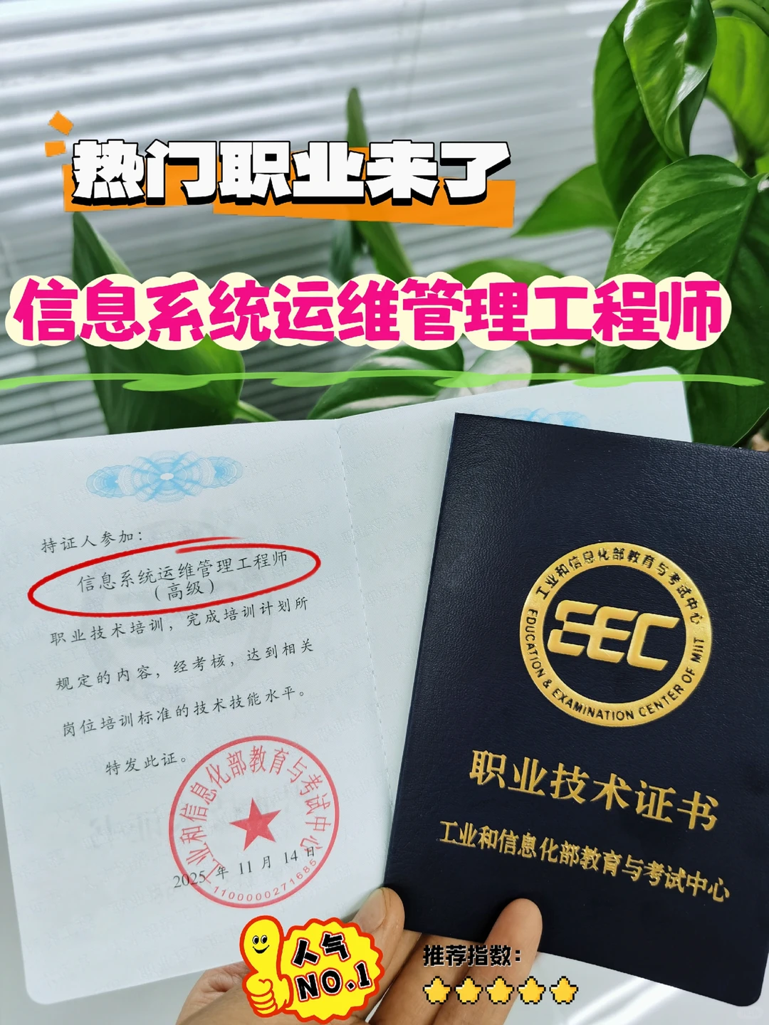 ?今日分享|信息系统运维管理工程师……