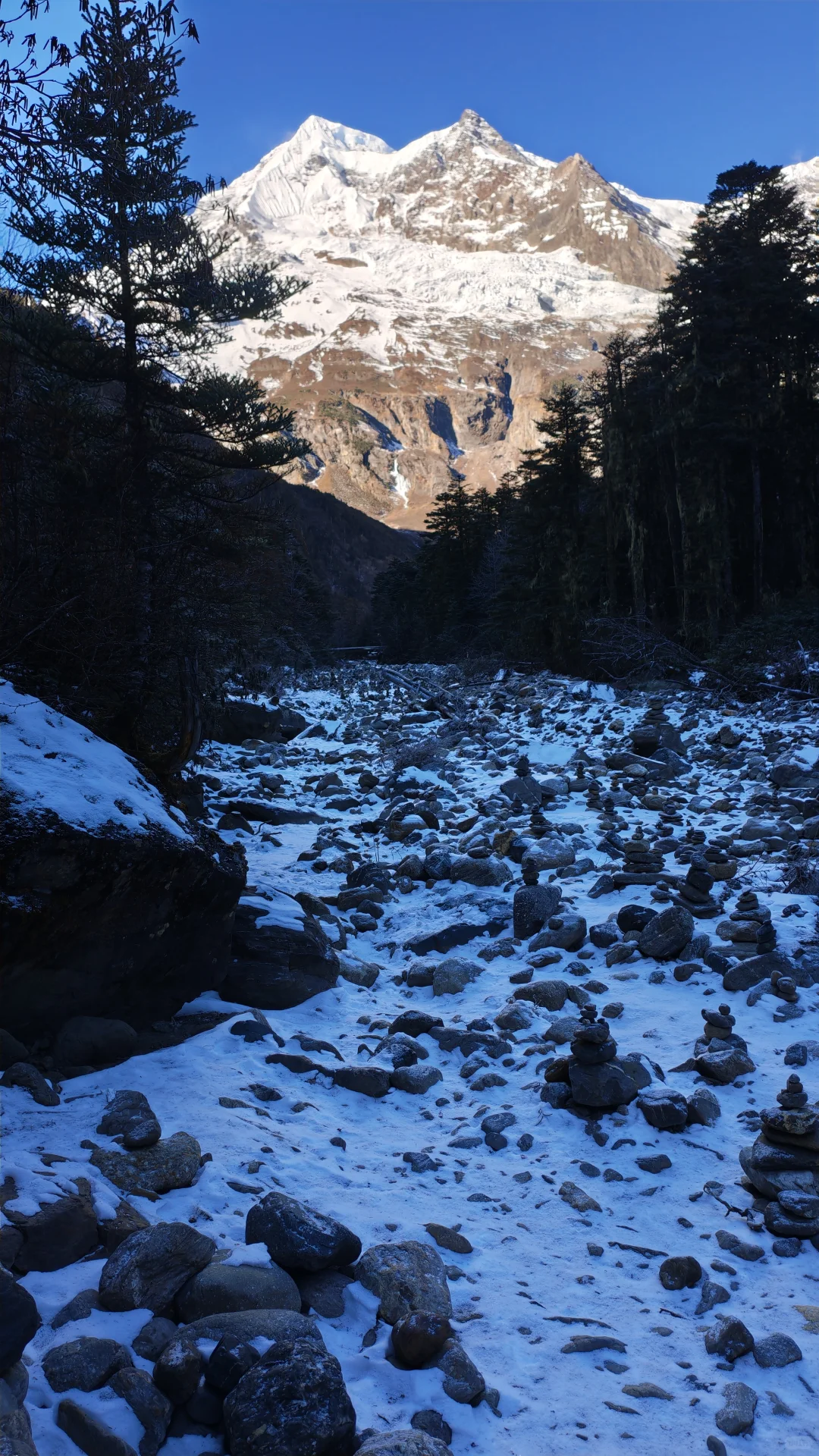 雨崩徒步Day2-冰湖切尼色：雨崩河溯源