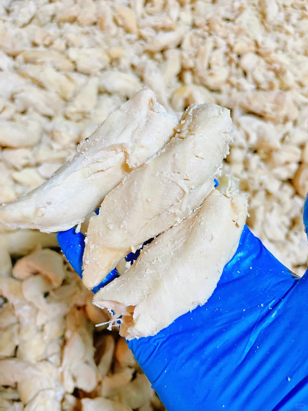 一家位于山东的宠物湿粮工厂?