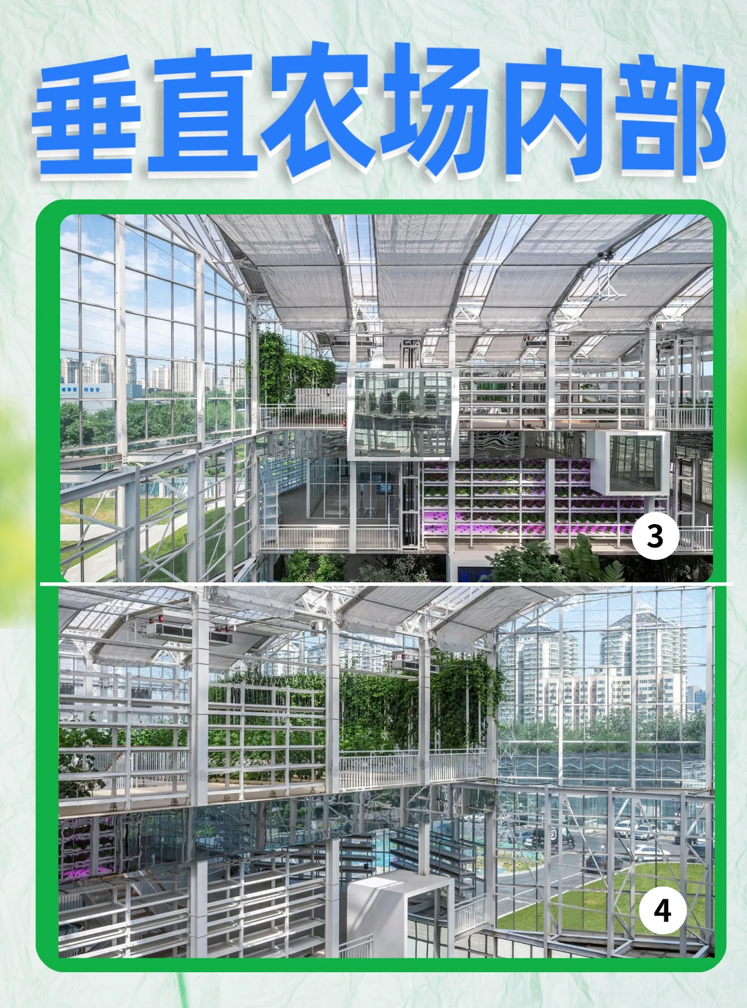 北京垂直农场 | 城市中亮眼的农业创新中心
