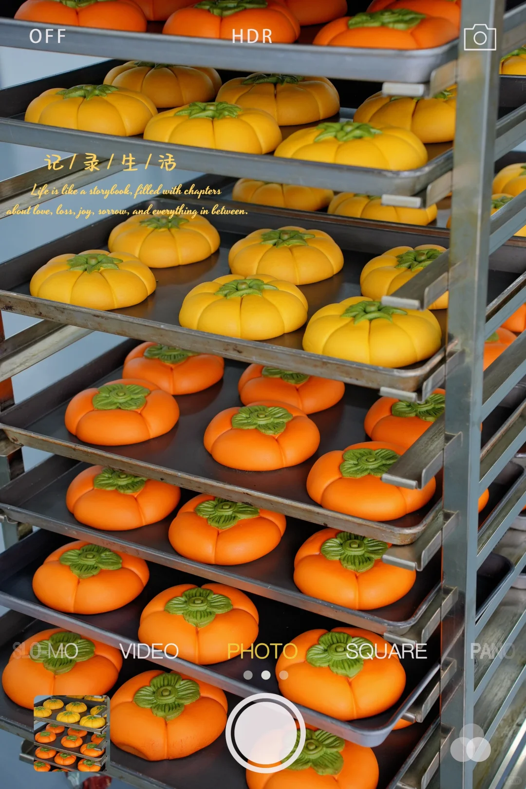 8000平的月饼工厂日常记录?