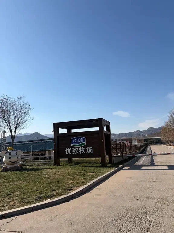 石家庄牛奶厂，能带耳机上班，寒假工。