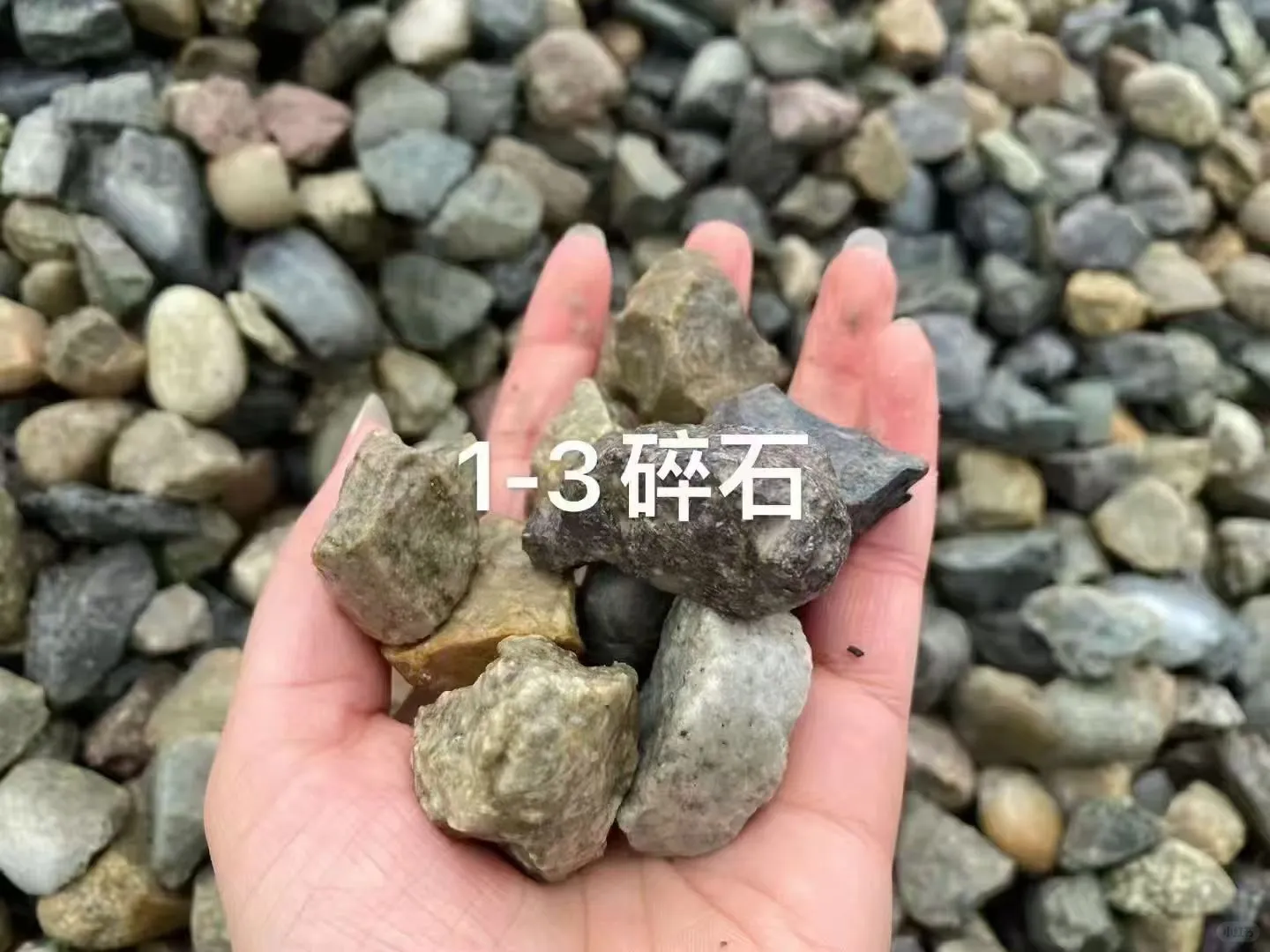 公开！成都水泥河沙批发价格