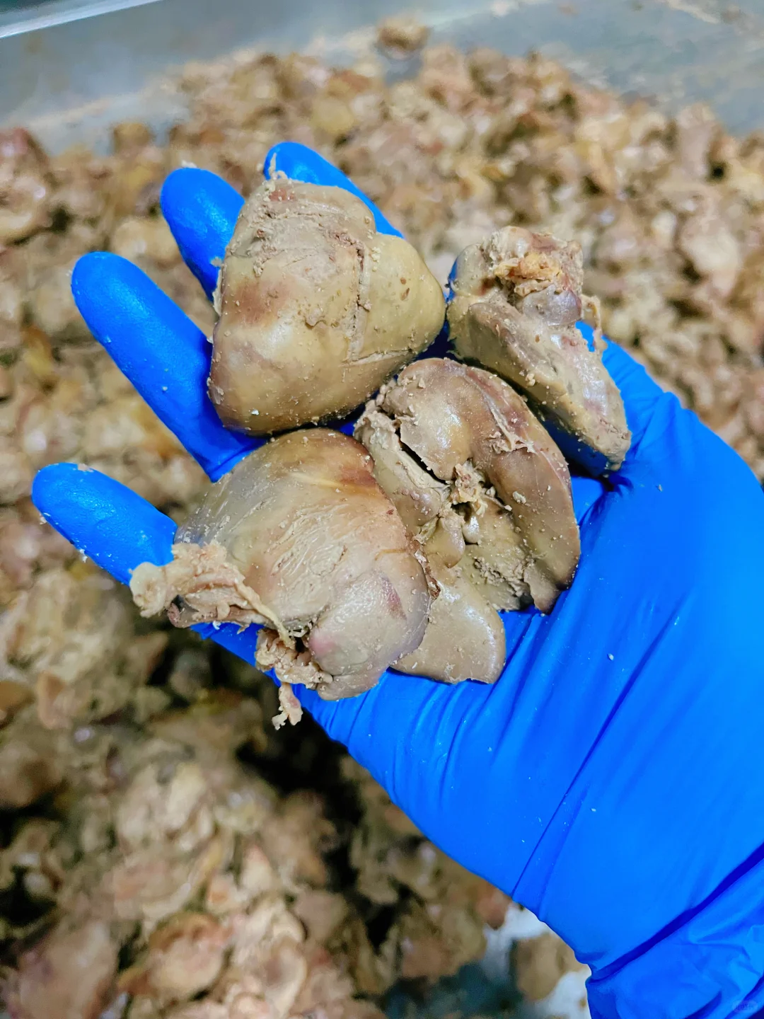 一家位于山东的宠物湿粮工厂?