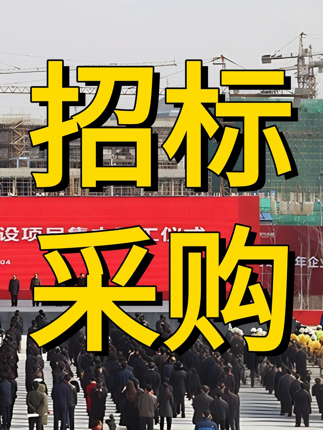 新 招标采购信息